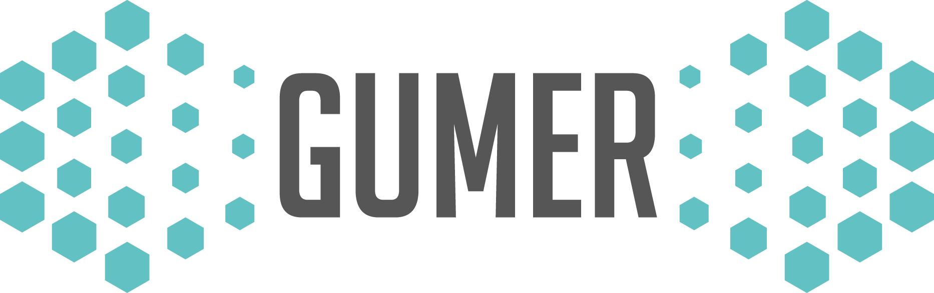 GUMER